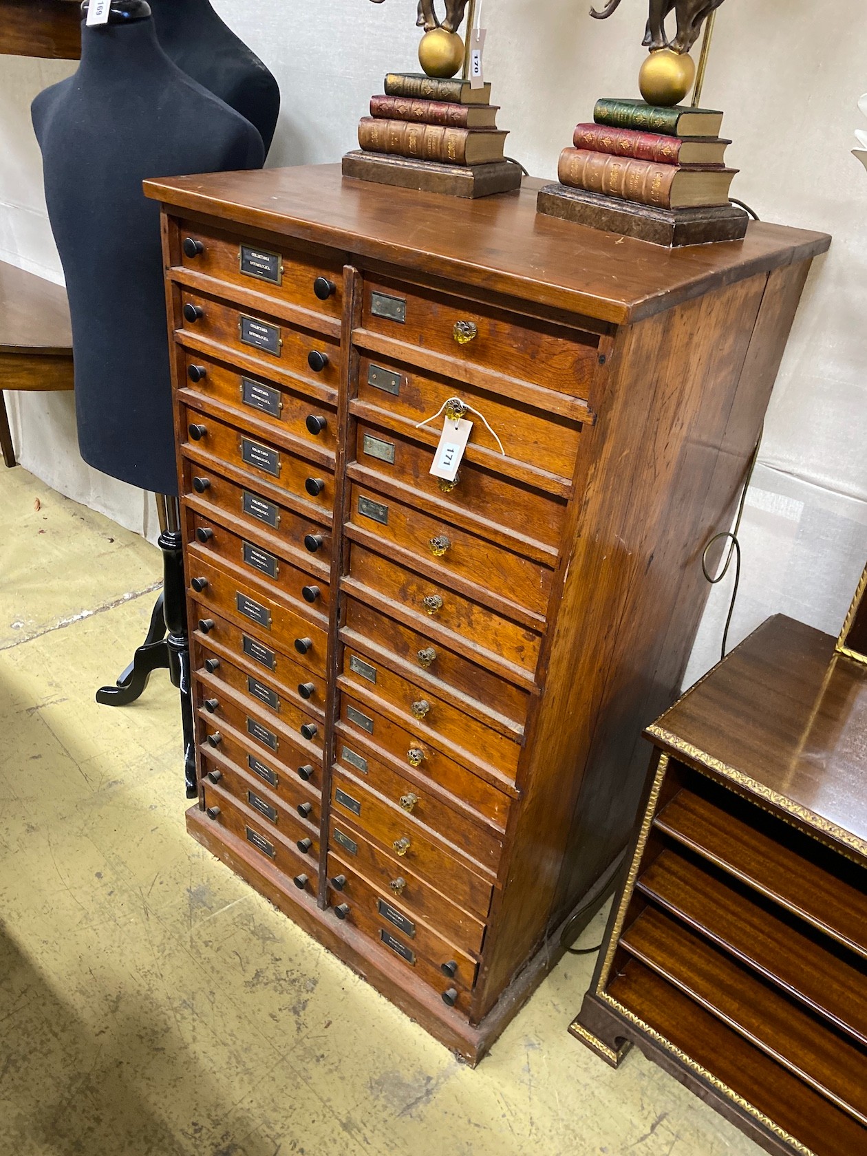 An early 20th century mahogany and pine entomological 26 drawer specimen chest, width 72cm, depth 58cm, height 124cm